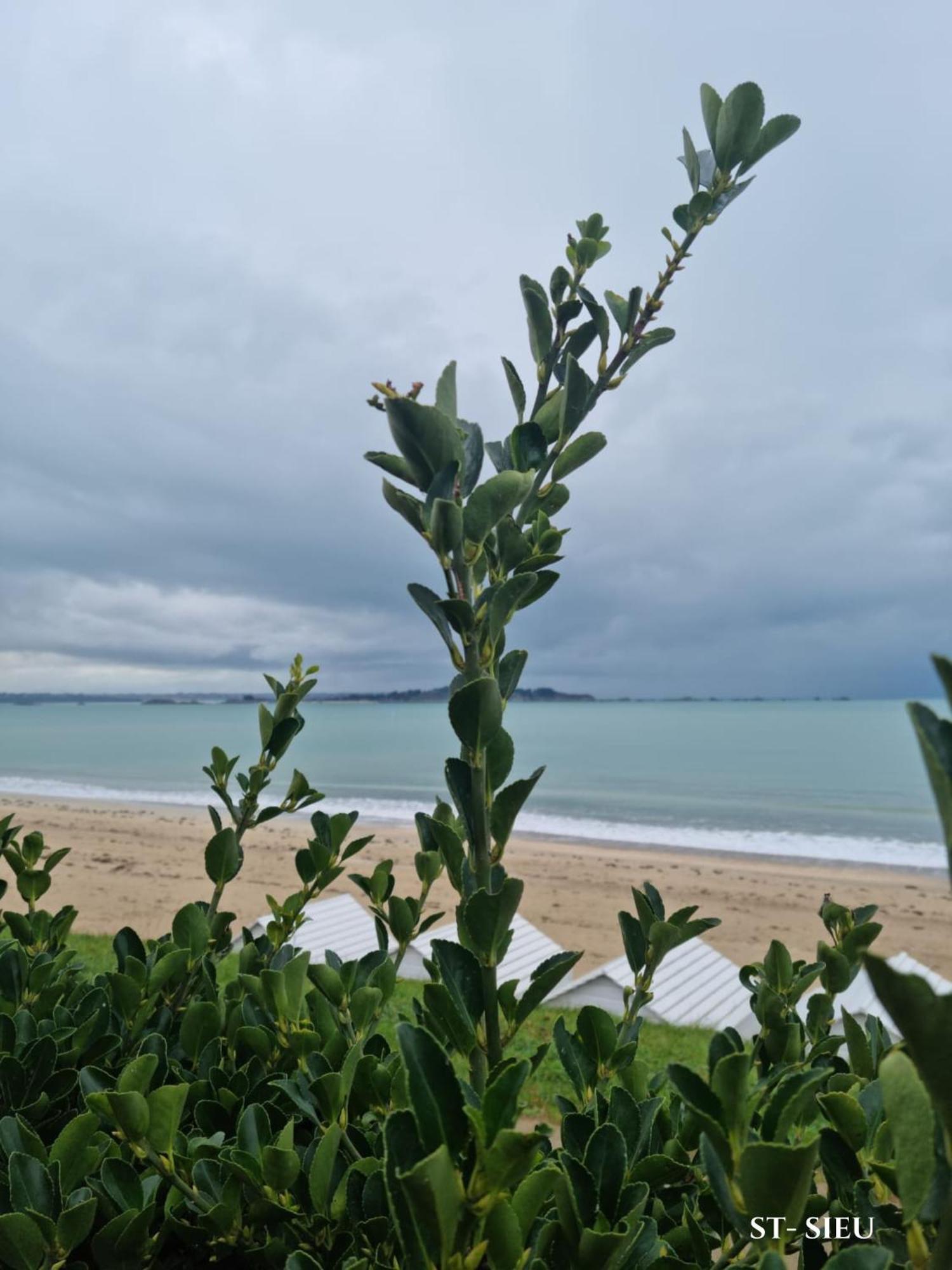 Brise Marine Du Prieure Spacieux Lumineux A 2 Min De La Plage Dinard Luaran gambar